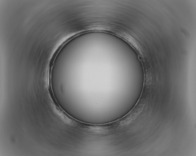 X0000113141132200909181724