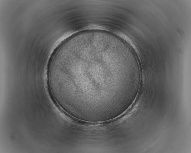 X0000113141133200909181724