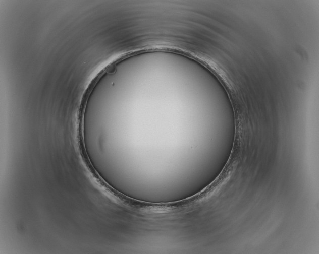 X0000113141134200909181724