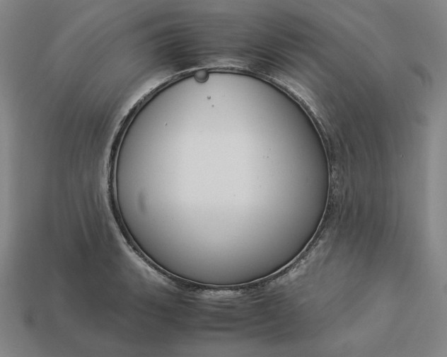 X0000113141135200909181724