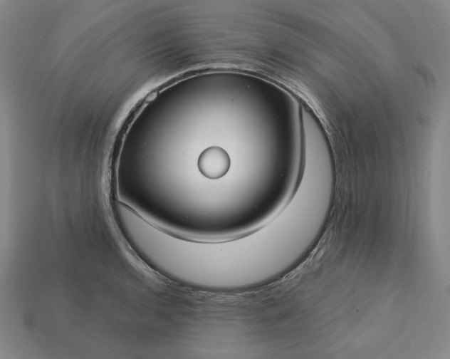 X0000113141136200909181724