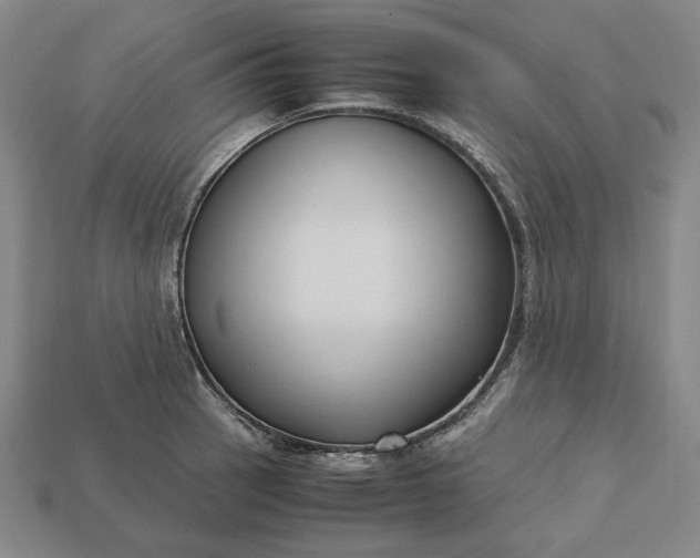 X0000113141137200909181724