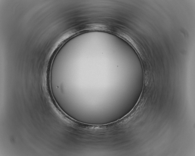 X0000113141139200909181724