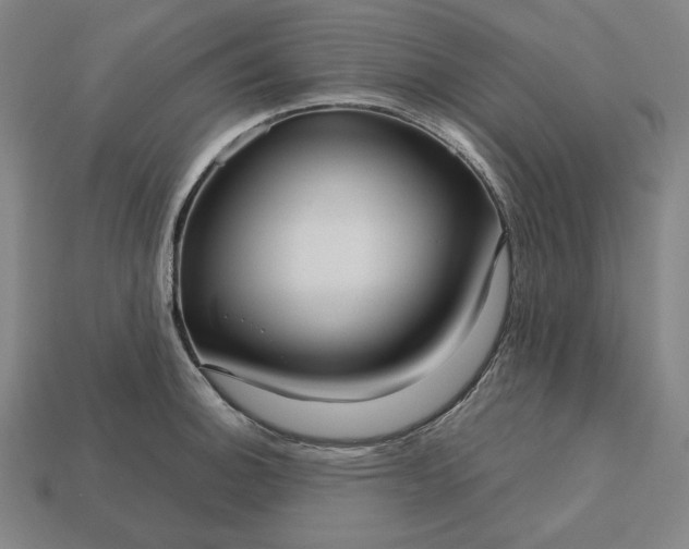 X0000113141140200909181724