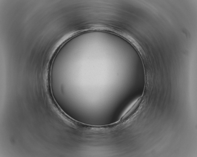 X0000113141142200909181724