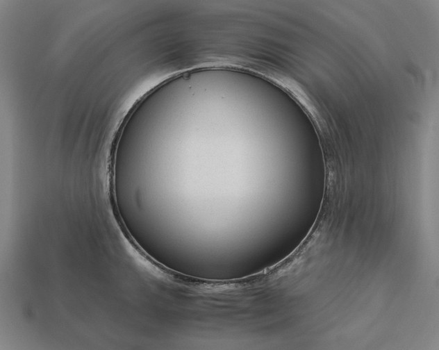 X0000113141143200909181724