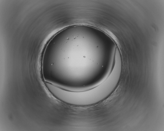 X0000113141144200909181724