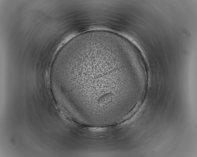 X0000113141145200909181724