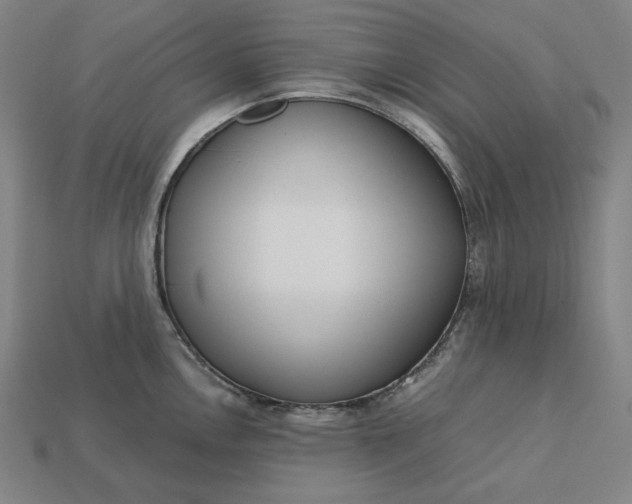 X0000113141146200909181724