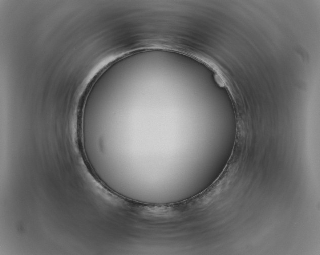 X0000113141147200909181724