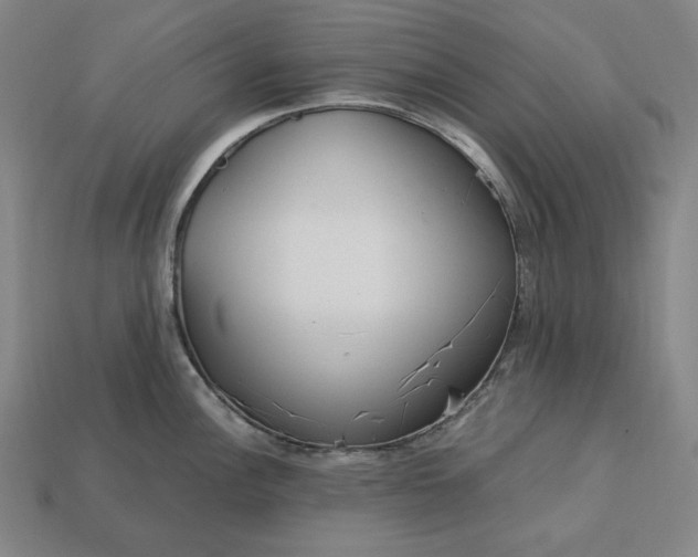 X0000113141148200909181724