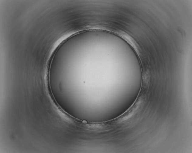 X0000113141149200909181724