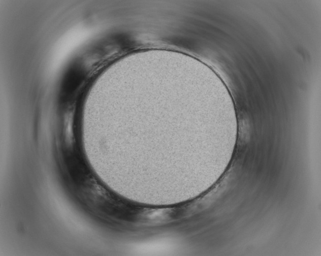 X0000113141150200909181724