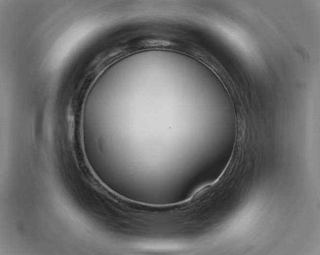 X0000113141151200909181724