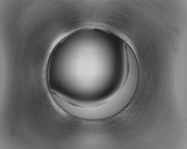 X0000113141152200909181724