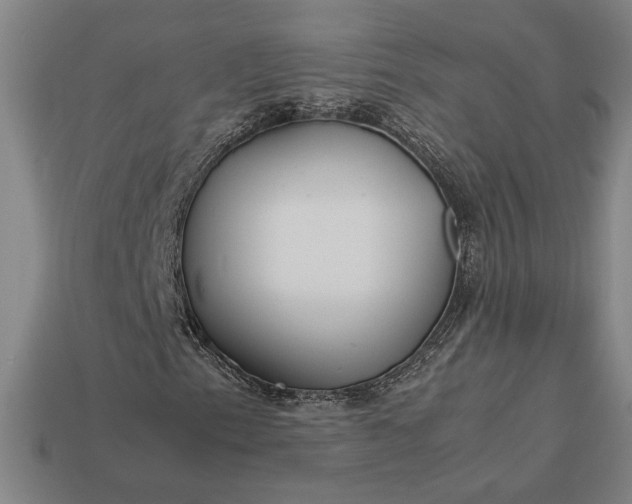 X0000113141153200909181724