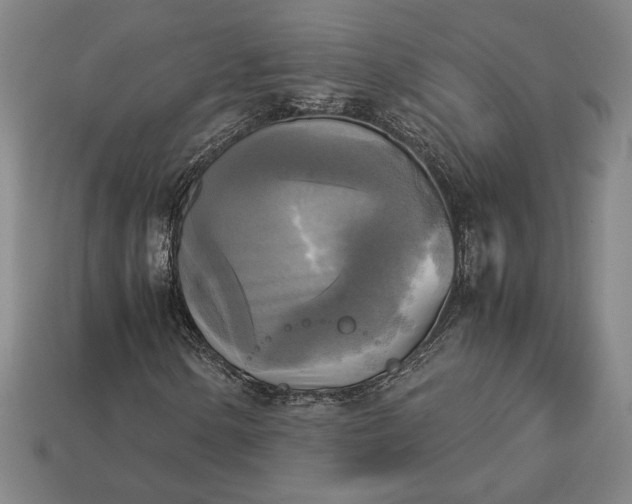 X0000113141154200909181724