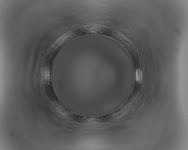 X0000113141155200909181724