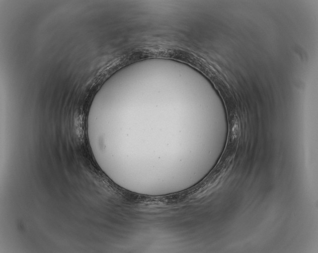 X0000113141156200909181723