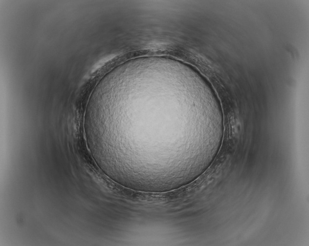 X0000113141158200909181723