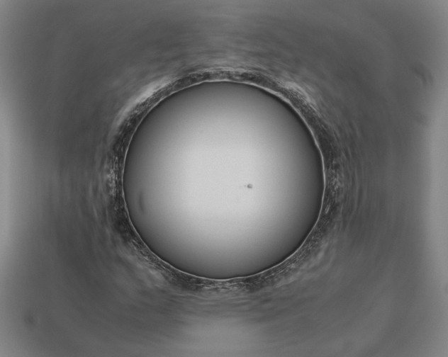 X0000113141159200909181723