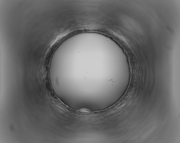 X0000113141160200909181723