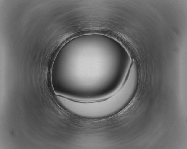 X0000113141161200909181723