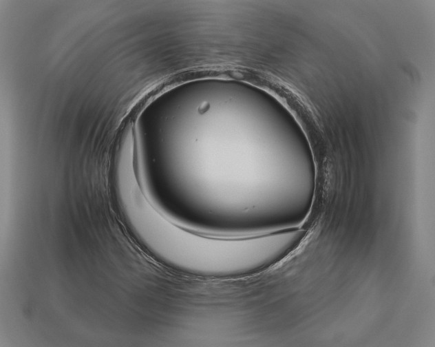 X0000113141162200909181723