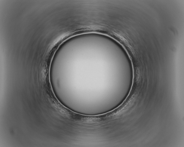 X0000113141163200909181723