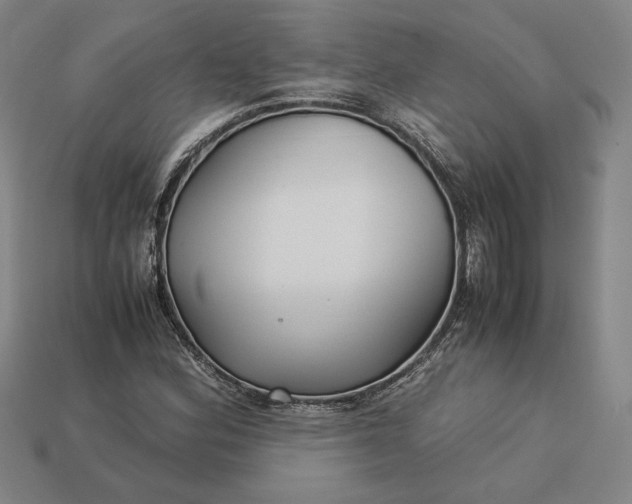 X0000113141164200909181723