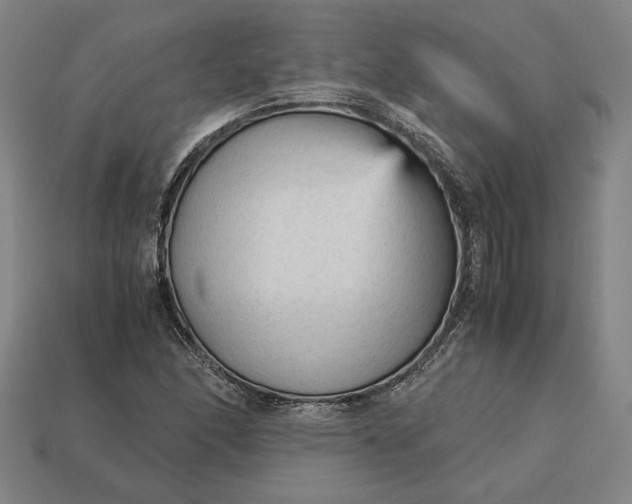 X0000113141166200909181723