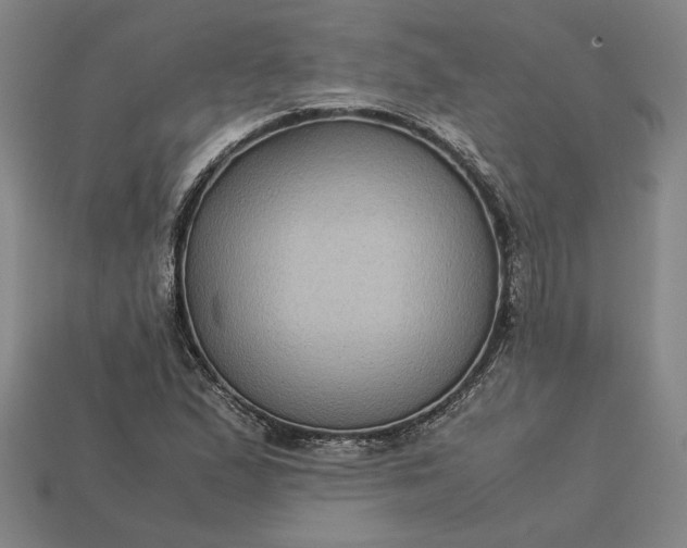 X0000113141167200909181723