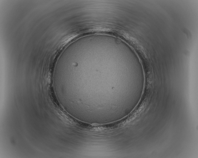 X0000113141169200909181723