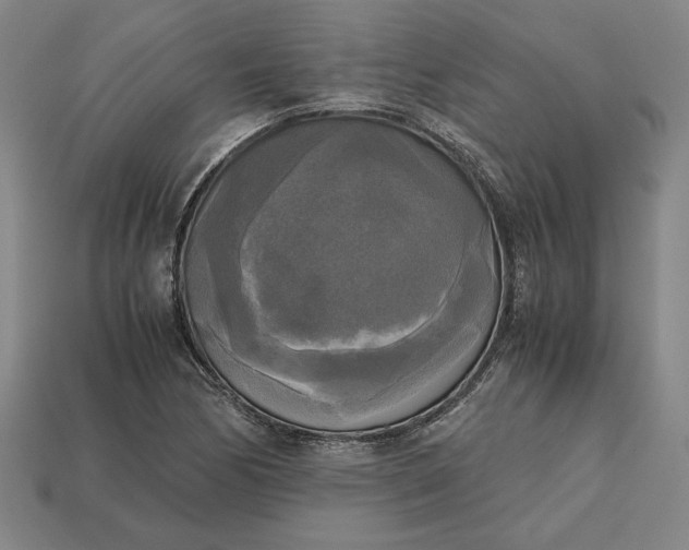 X0000113141170200909181723