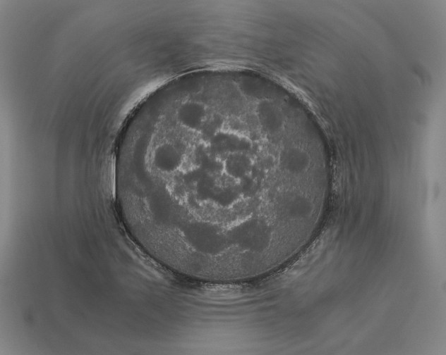 X0000113141171200909181723