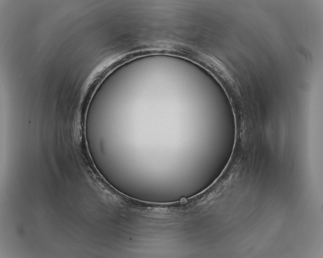 X0000113141172200909181723