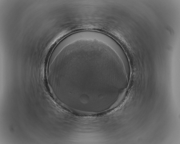 X0000113141173200909181723