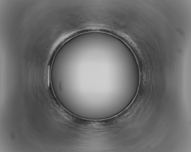 X0000113141175200909181723