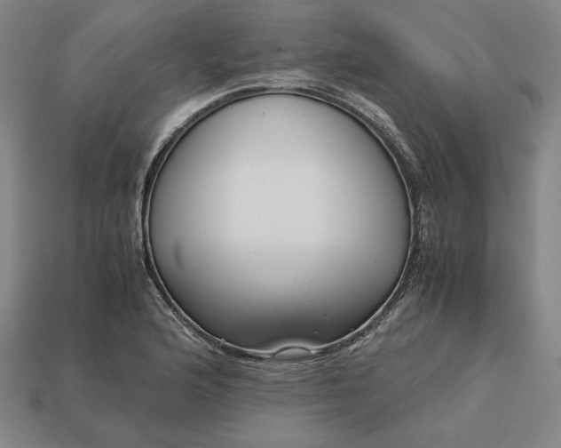 X0000113141176200909181723