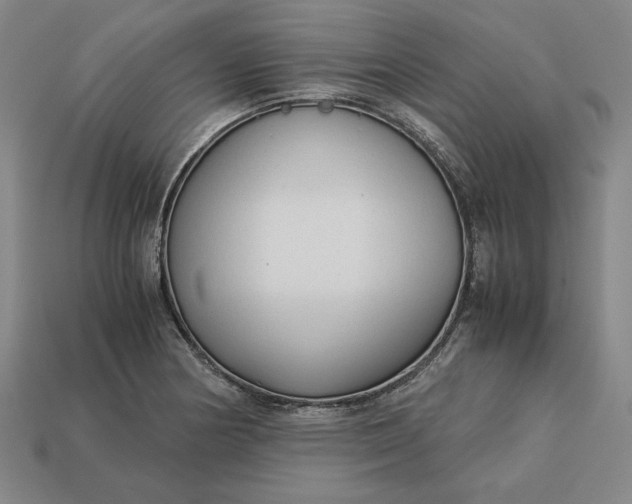 X0000113141178200909181723