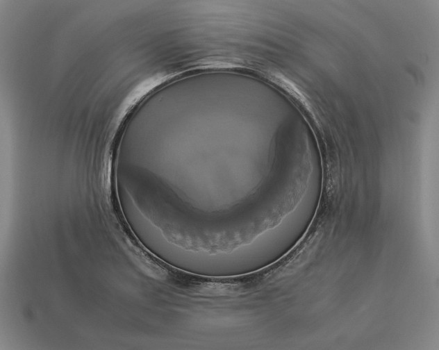 X0000113141179200909181723