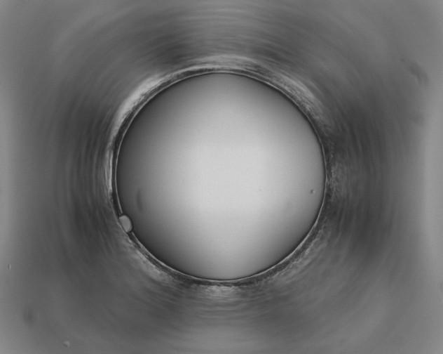 X0000113141180200909181723