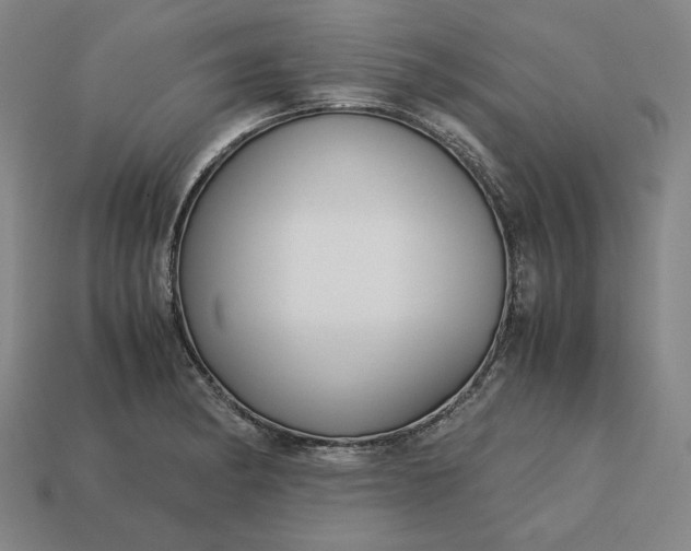 X0000113141182200909181723