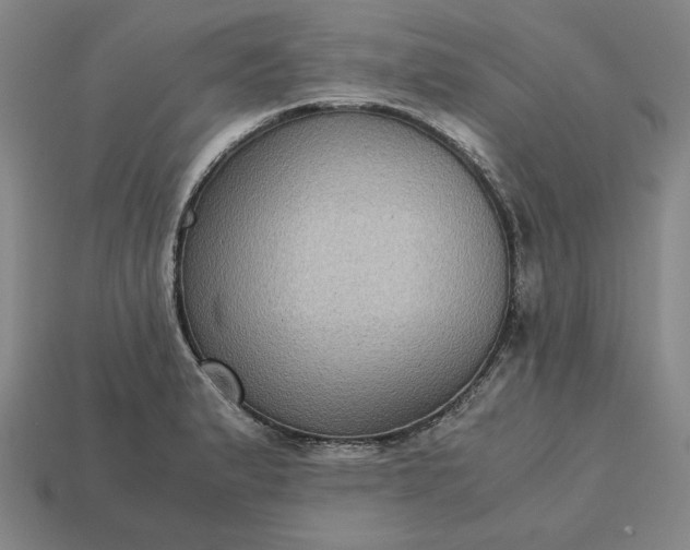 X0000113141183200909181723