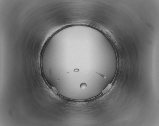 X0000113141184200909181723