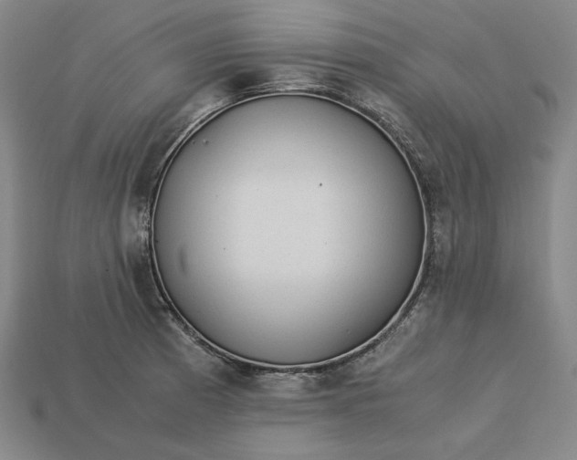 X0000113141185200909181723