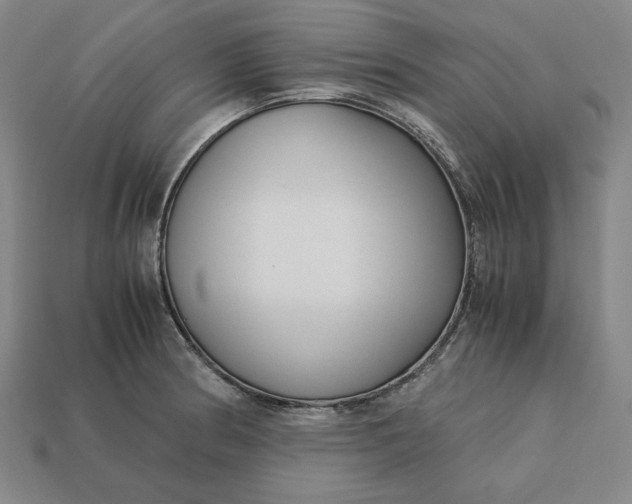 X0000113141186200909181723