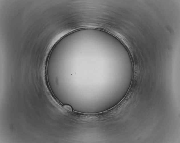 X0000113141187200909181723