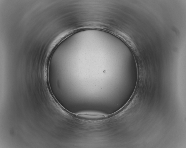 X0000113141188200909181723