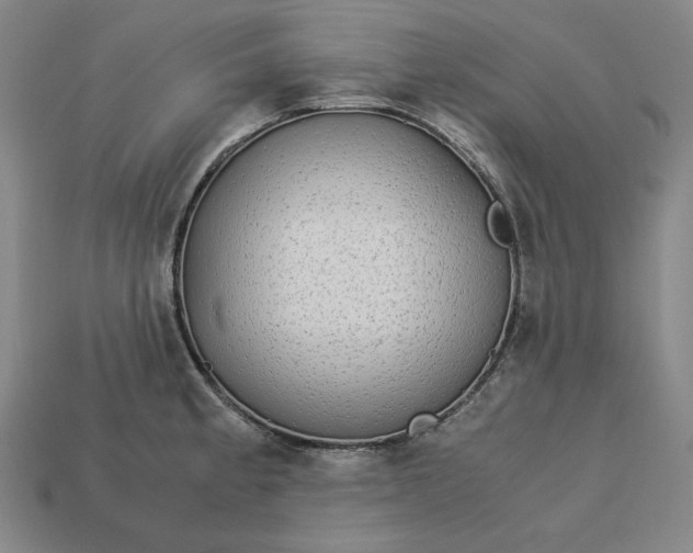 X0000113141189200909181723